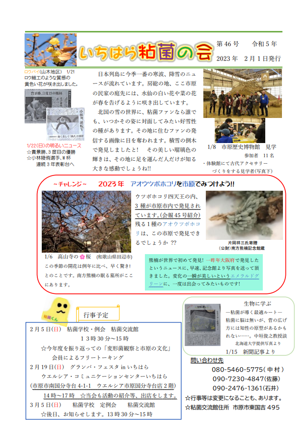 いちはら粘菌の会　会報第46号