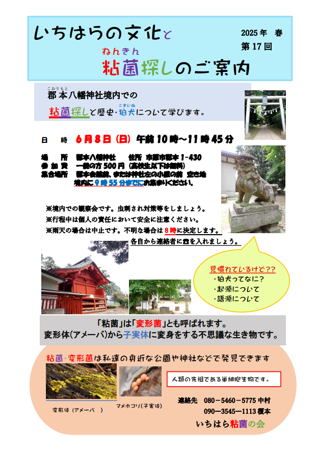 【参加者募集中！】第17回粘菌観察会のご案内
