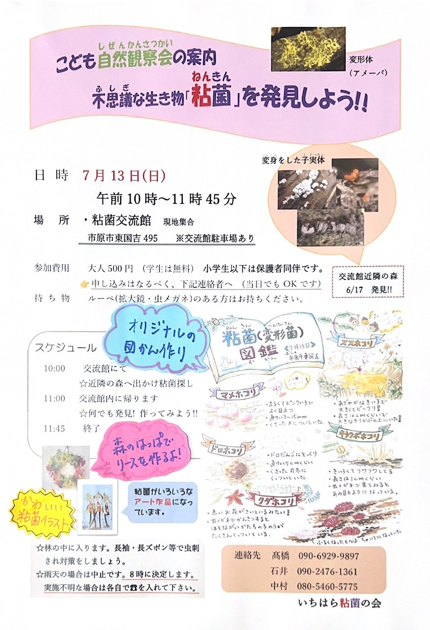 【7月13日(日)開催】こども自然観察会のご案内