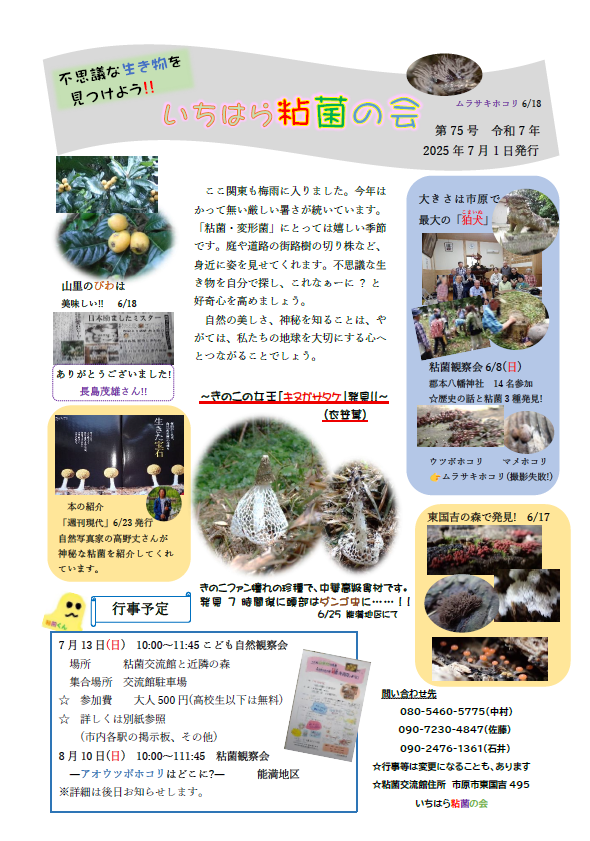 いちはら粘菌の会　会報第75号