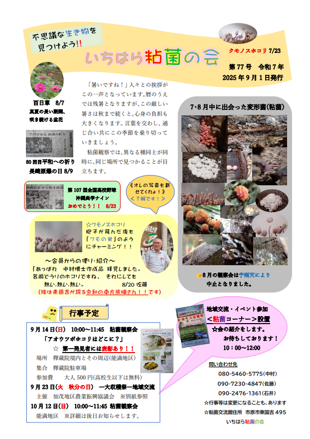 いちはら粘菌の会　会報第77号