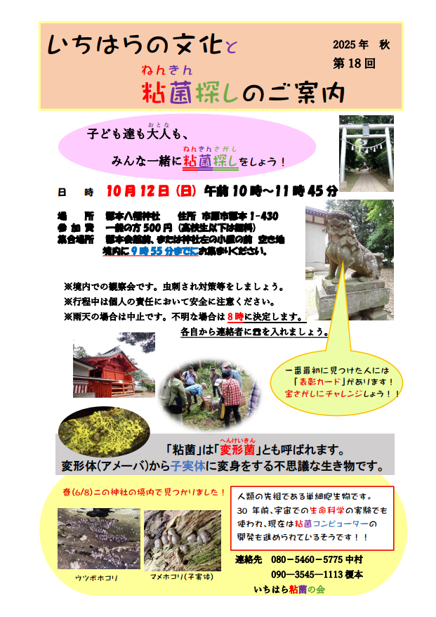 【10月12日(日)開催】第18回粘菌観察会のご案内