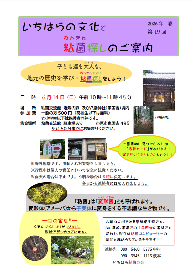 【6月14日(日)開催】第19回粘菌観察会のご案内
