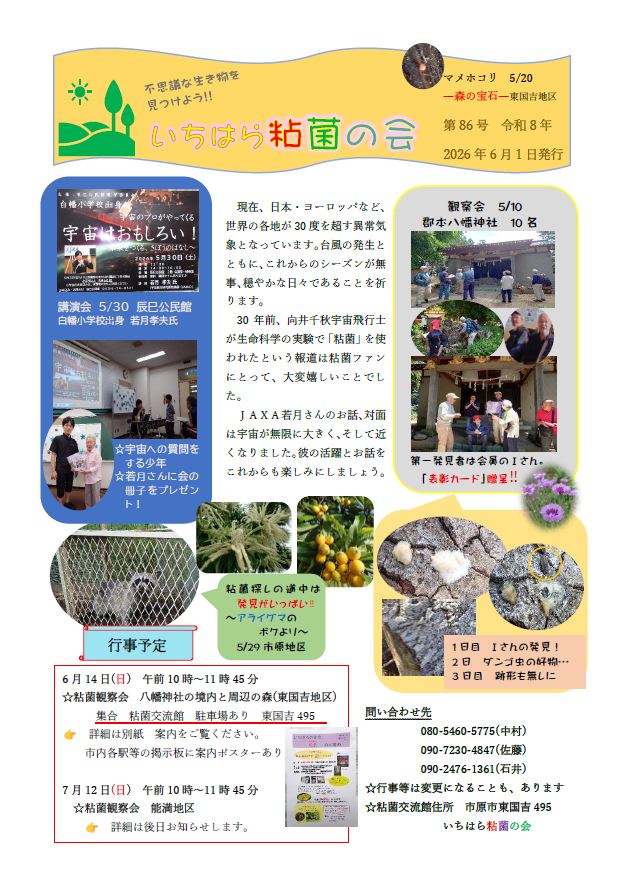 いちはら粘菌の会 会報第86号