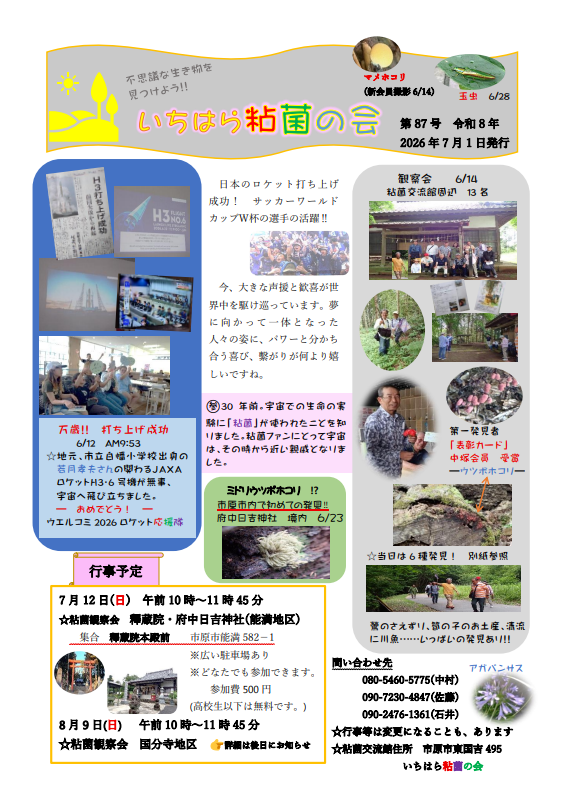 いちはら粘菌の会　会報第87号
