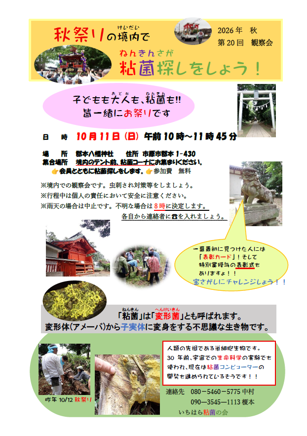 【10月11日(日)開催】第20回粘菌観察会のご案内