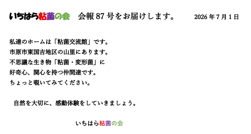87号まちサポ.png