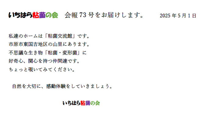 本文写真.PNG