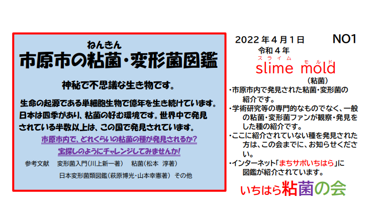 キャプチャ.PNG