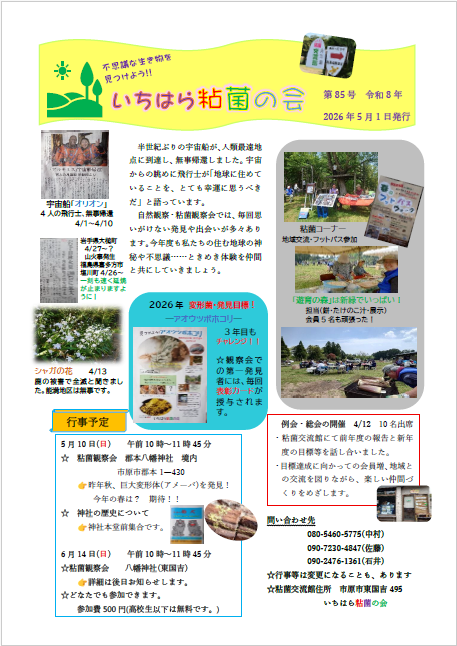 85号.png