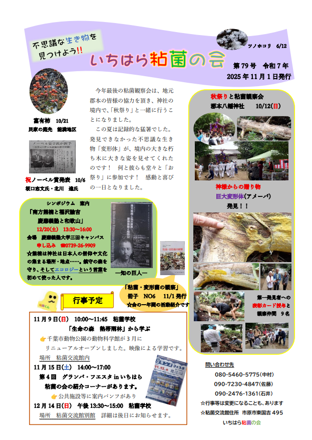 スクリーンショット 2025-11-04 150212.png