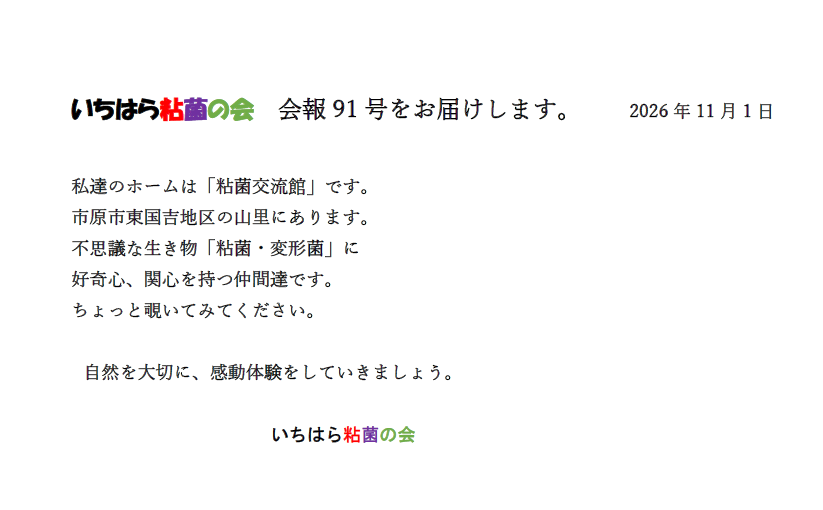 91号まちサポ.png