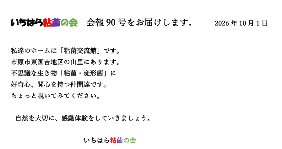 90号まちサポ.png