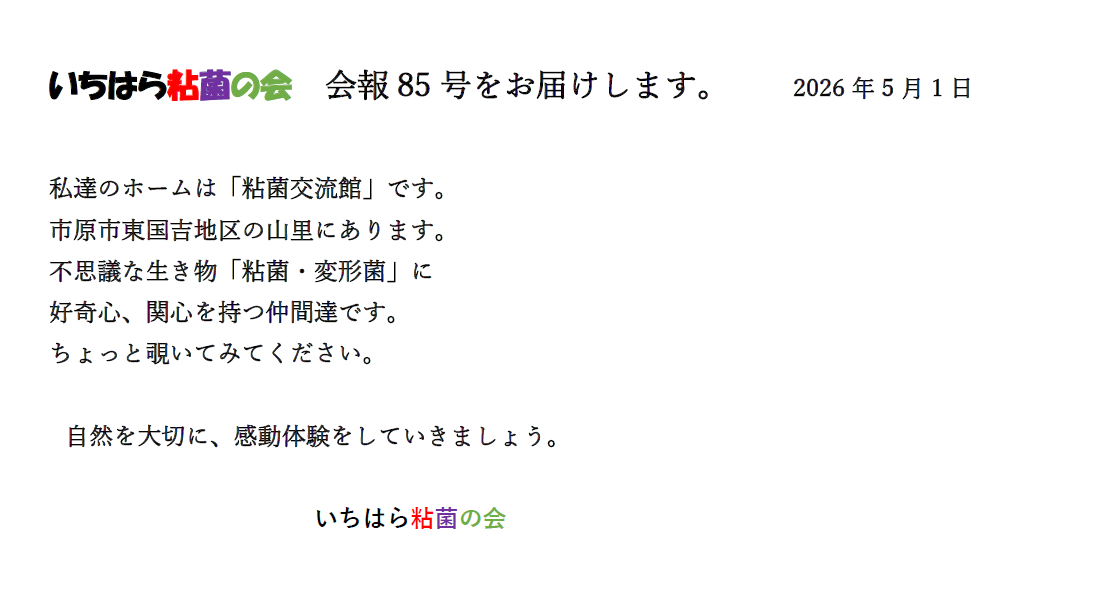 85号まちサポ.png
