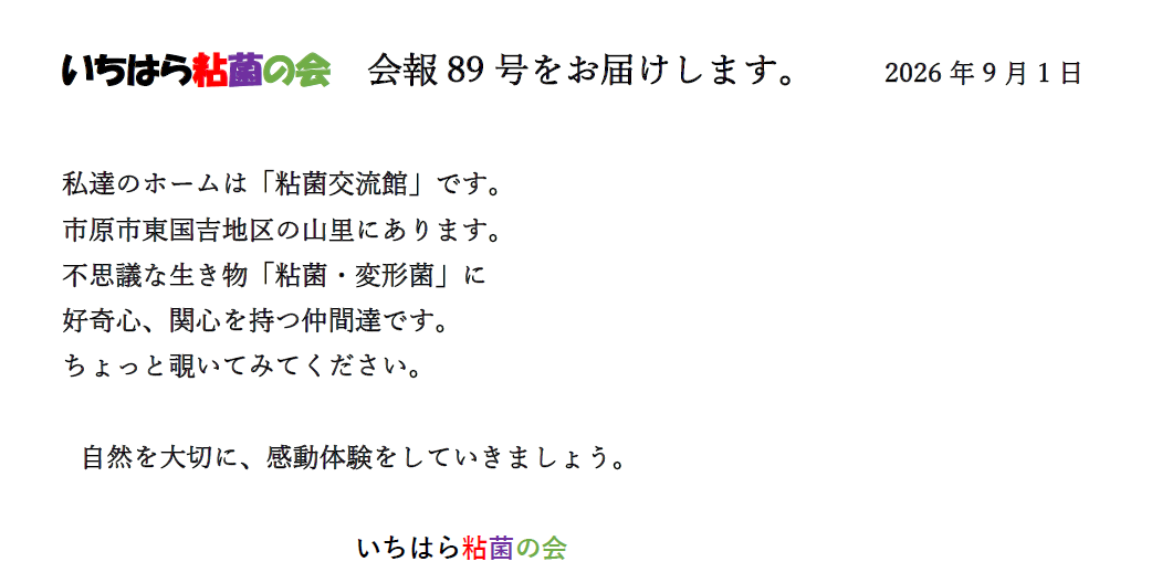 89号まちサポ.png