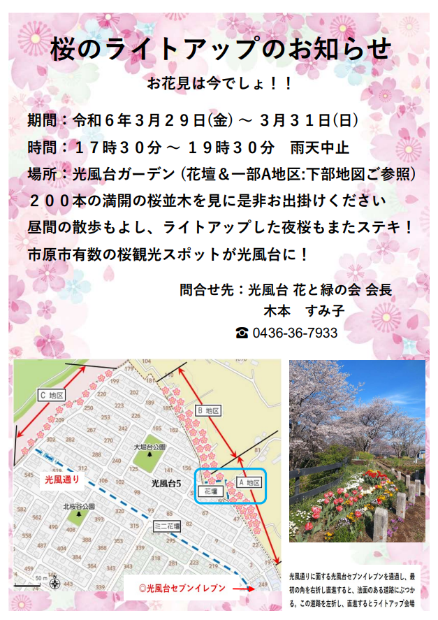 【4/9〜１１実施】桜のライトアップのお知らせ〜光風台 花と緑の会〜