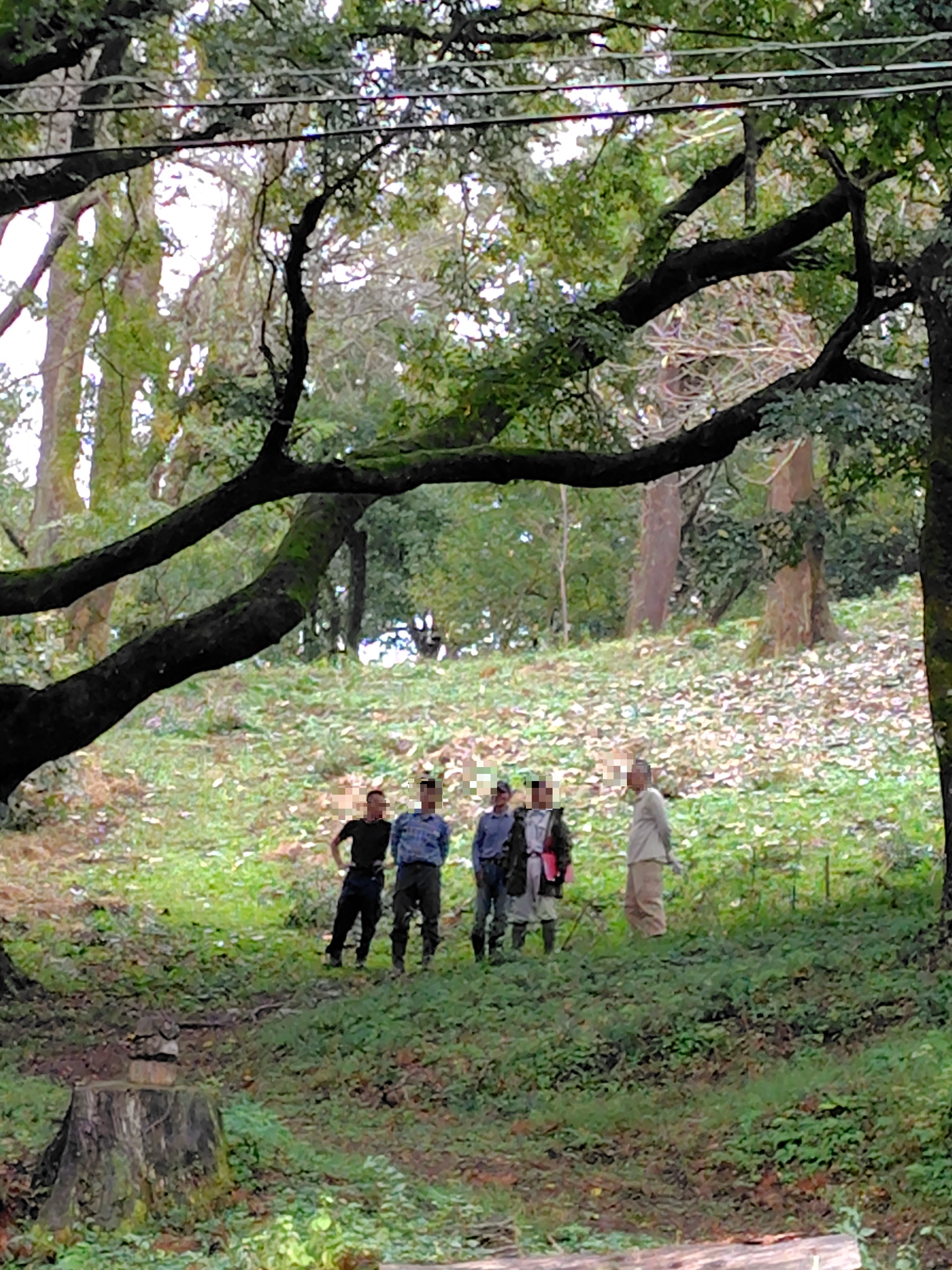 樹木医と「米沢の森」を歩こう 11月7日