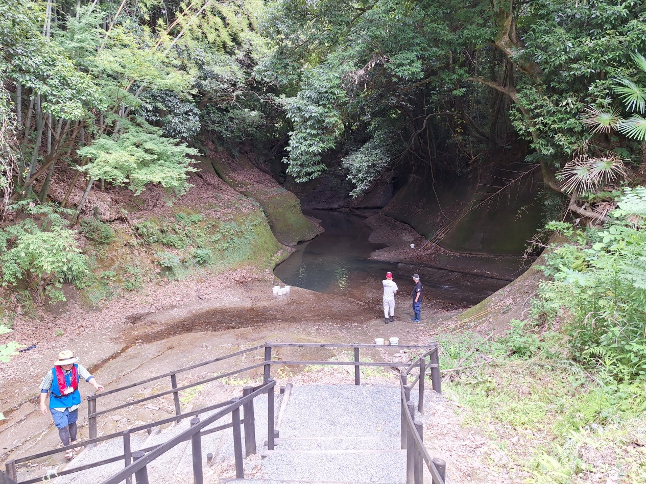 20250713_103040-cleaned.jpg