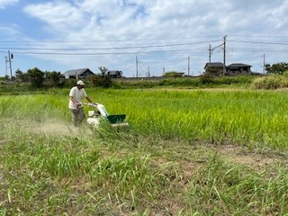 コスモス畑　耕作開始　（2025/8/20~8/31)
