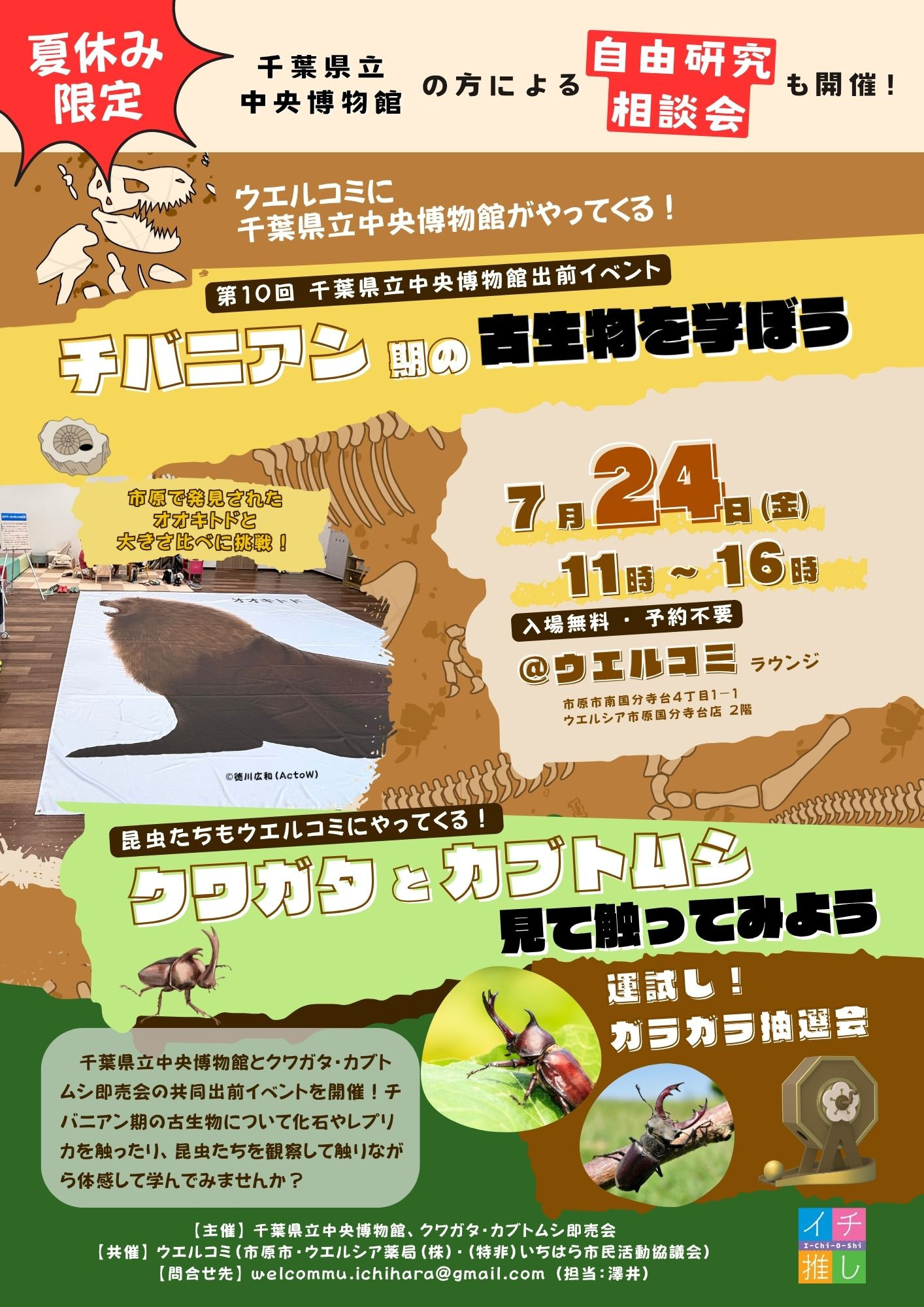 【夏休み限定】ウエルコミに千葉県立中央博物館がやってくる!! 〜チバニアン期の古生物を学ぼう&クワガタ・カブトムシに触れ合おう〜