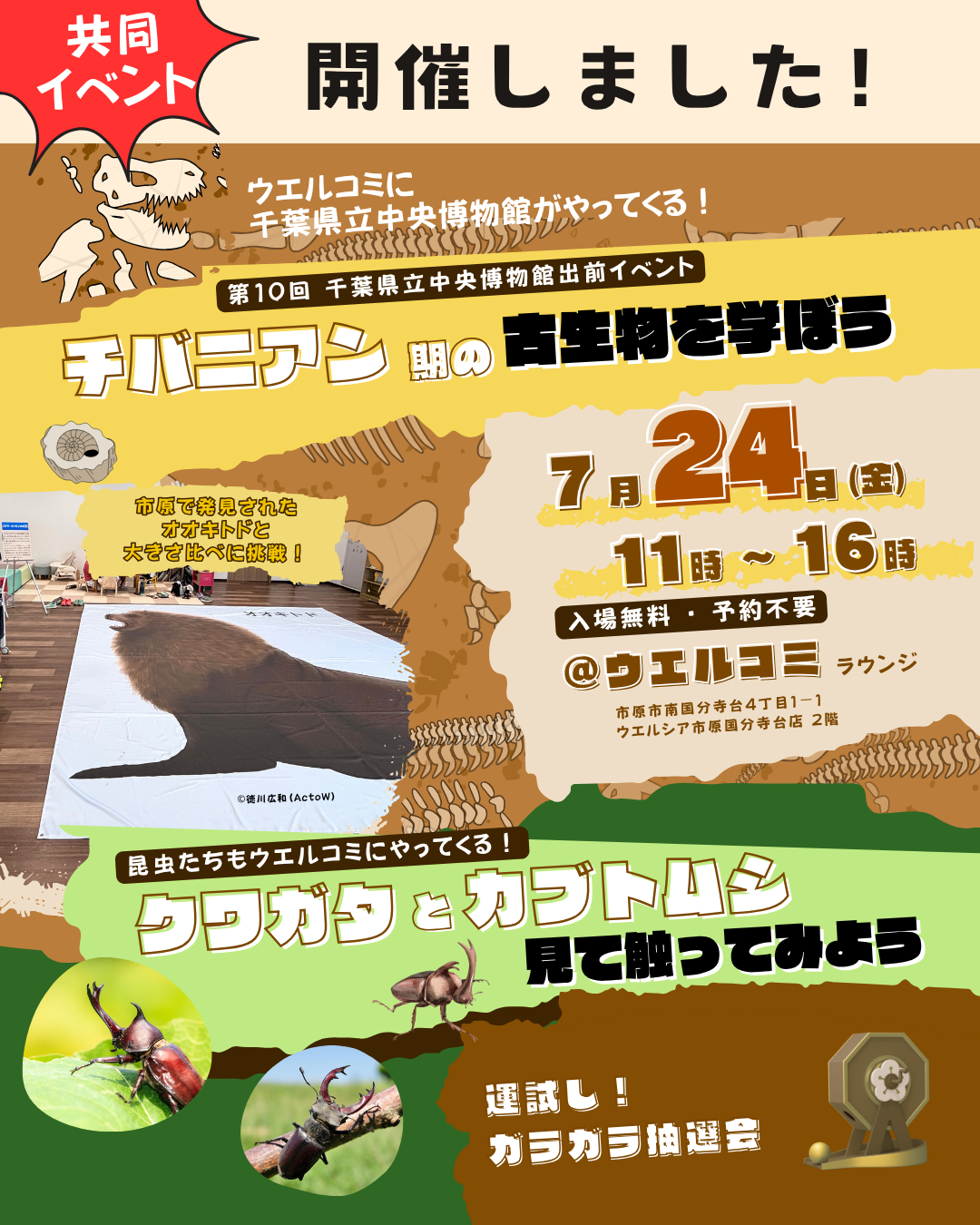 【開催報告】過去最大の来場者数!千葉県立中央博物館出前イベント&昆虫ふれあいイベント