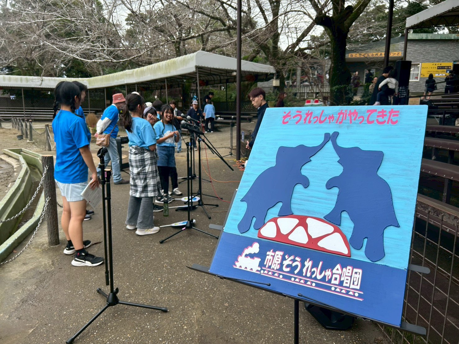 【市原ぞうの国公演】ぞうさんと共演しました