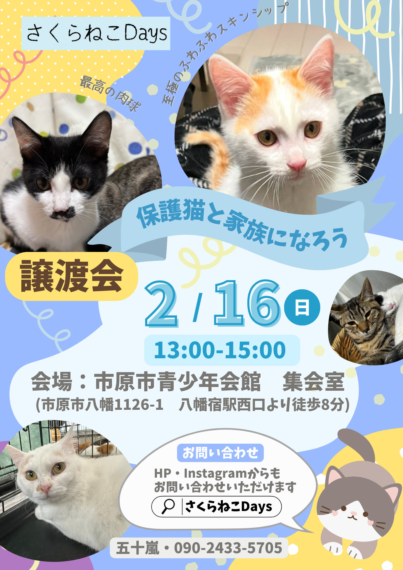 2月の保護猫譲渡会