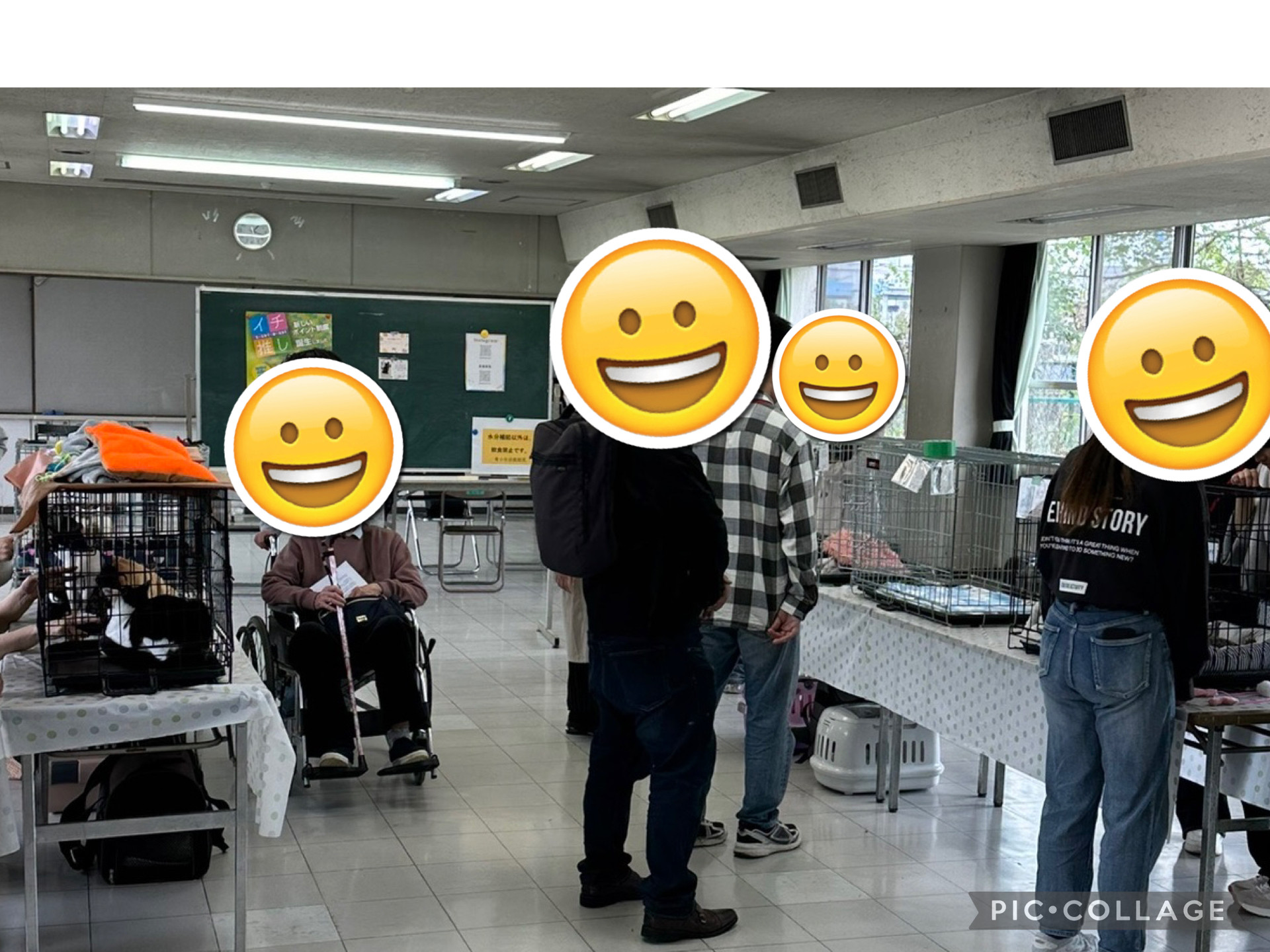 4月の保護猫譲渡会　活動報告