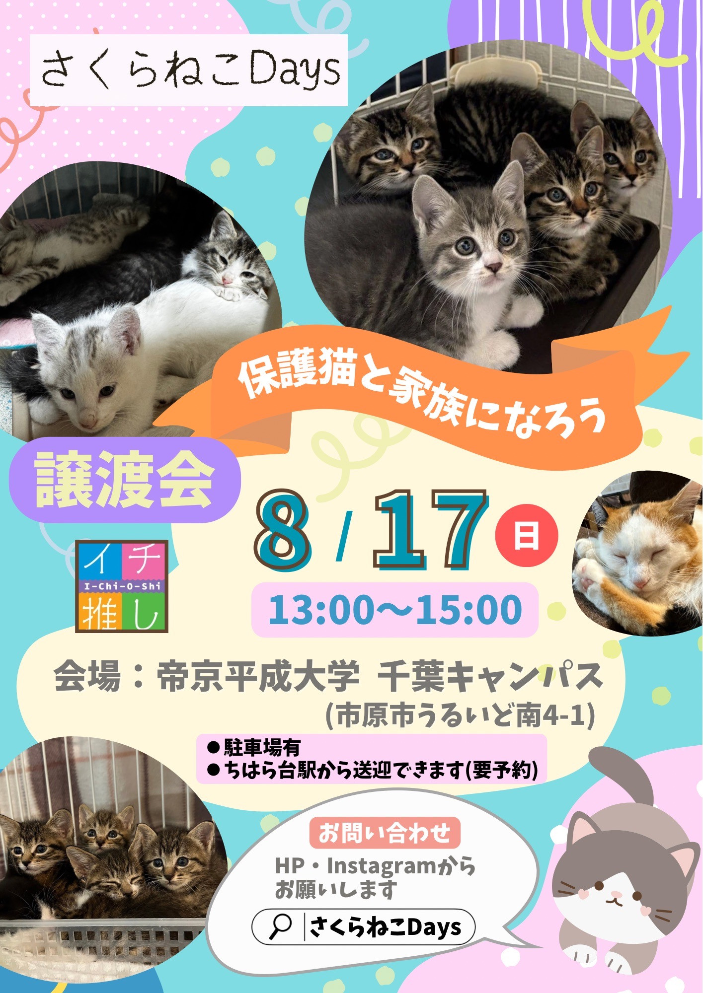 8月の保護猫譲渡会お知らせ