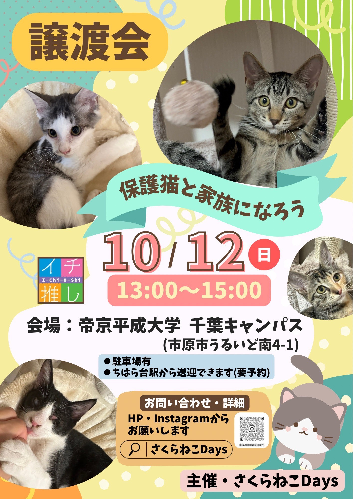 10月の保護猫譲渡会のお知らせ