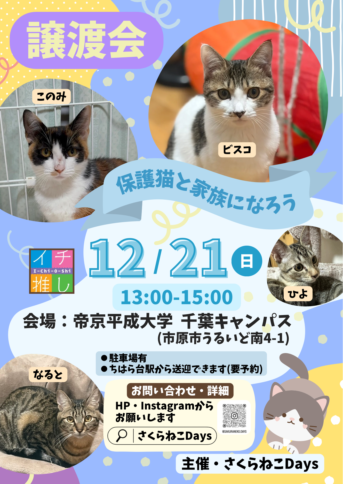 12月の保護猫譲渡会のお知らせ
