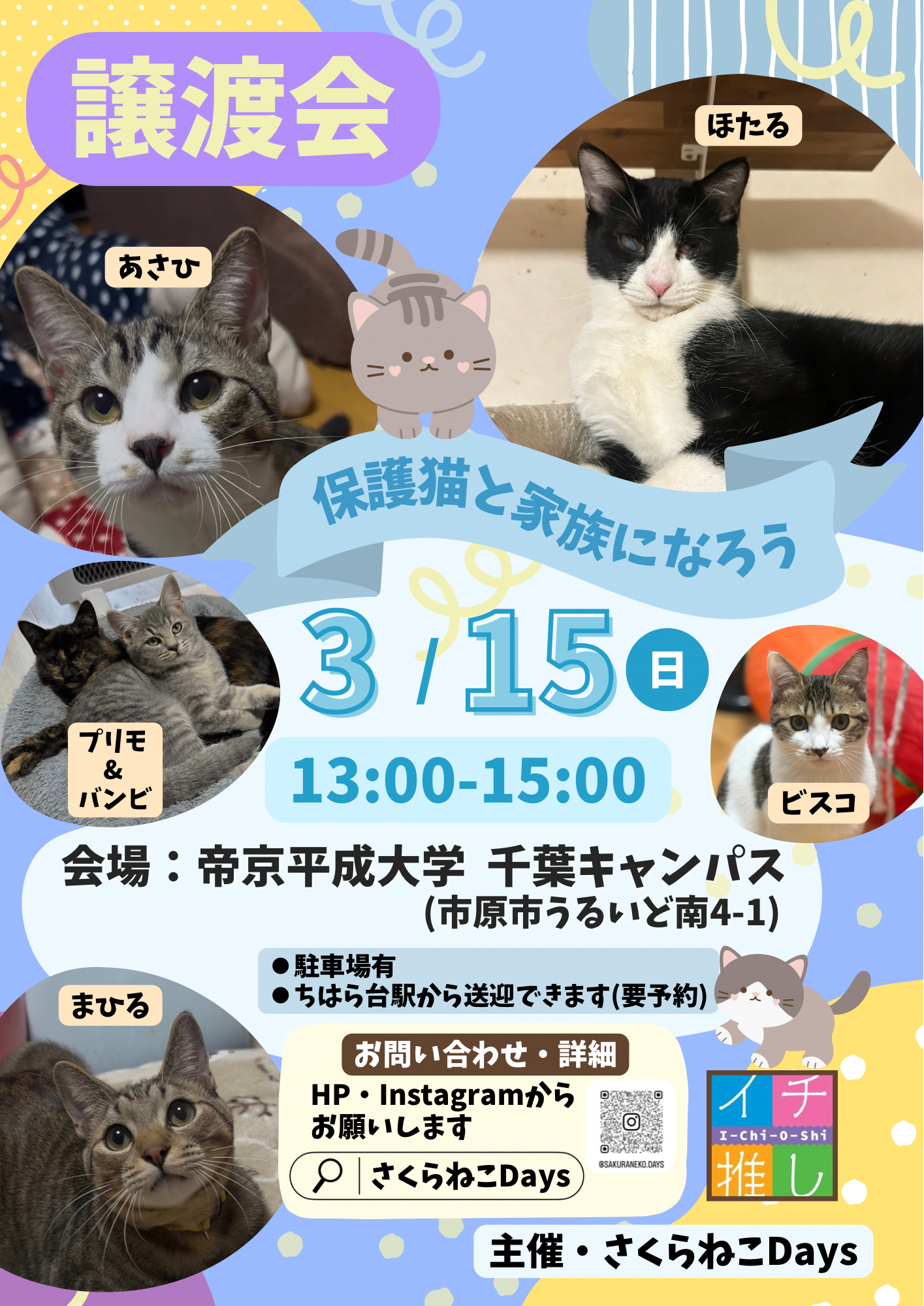 3月の保護猫譲渡会