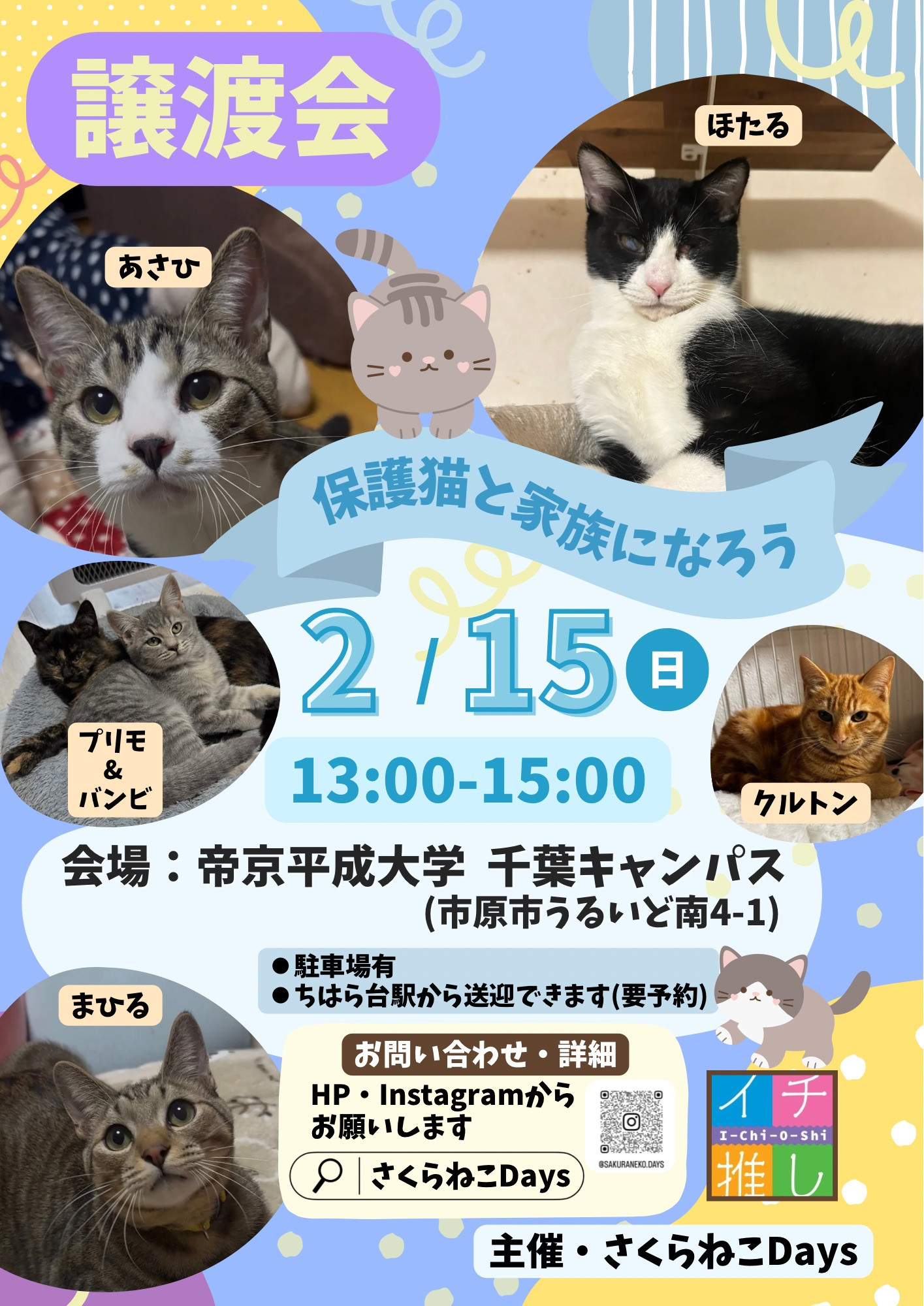 2026年2月の保護猫譲渡会　開催告知