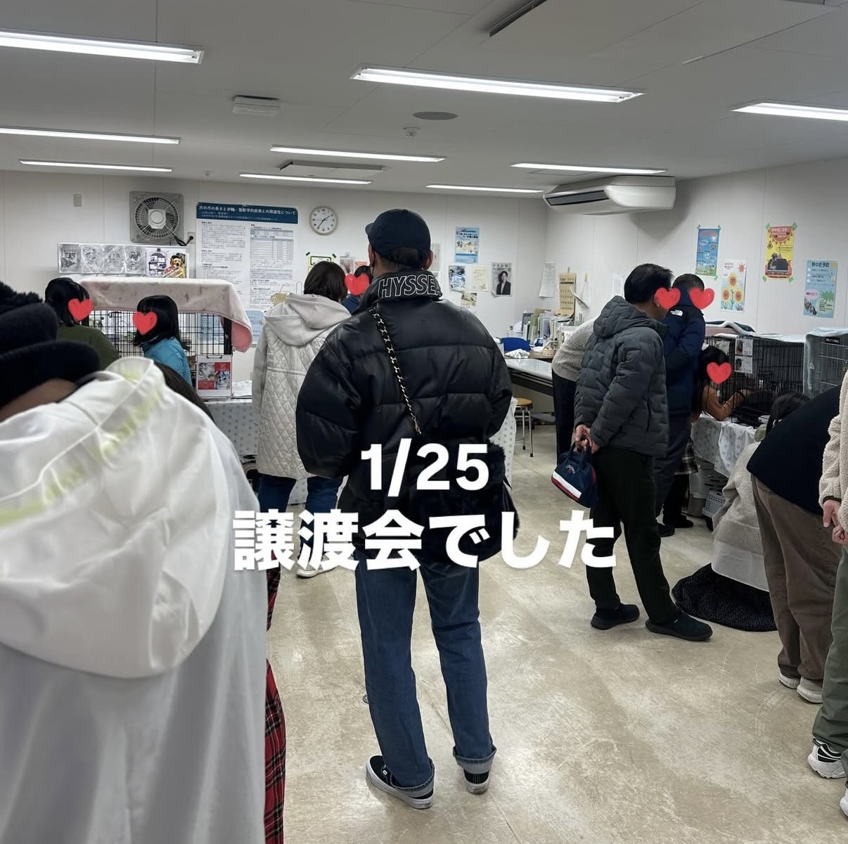 2026年1月の保護猫譲渡会　活動報告