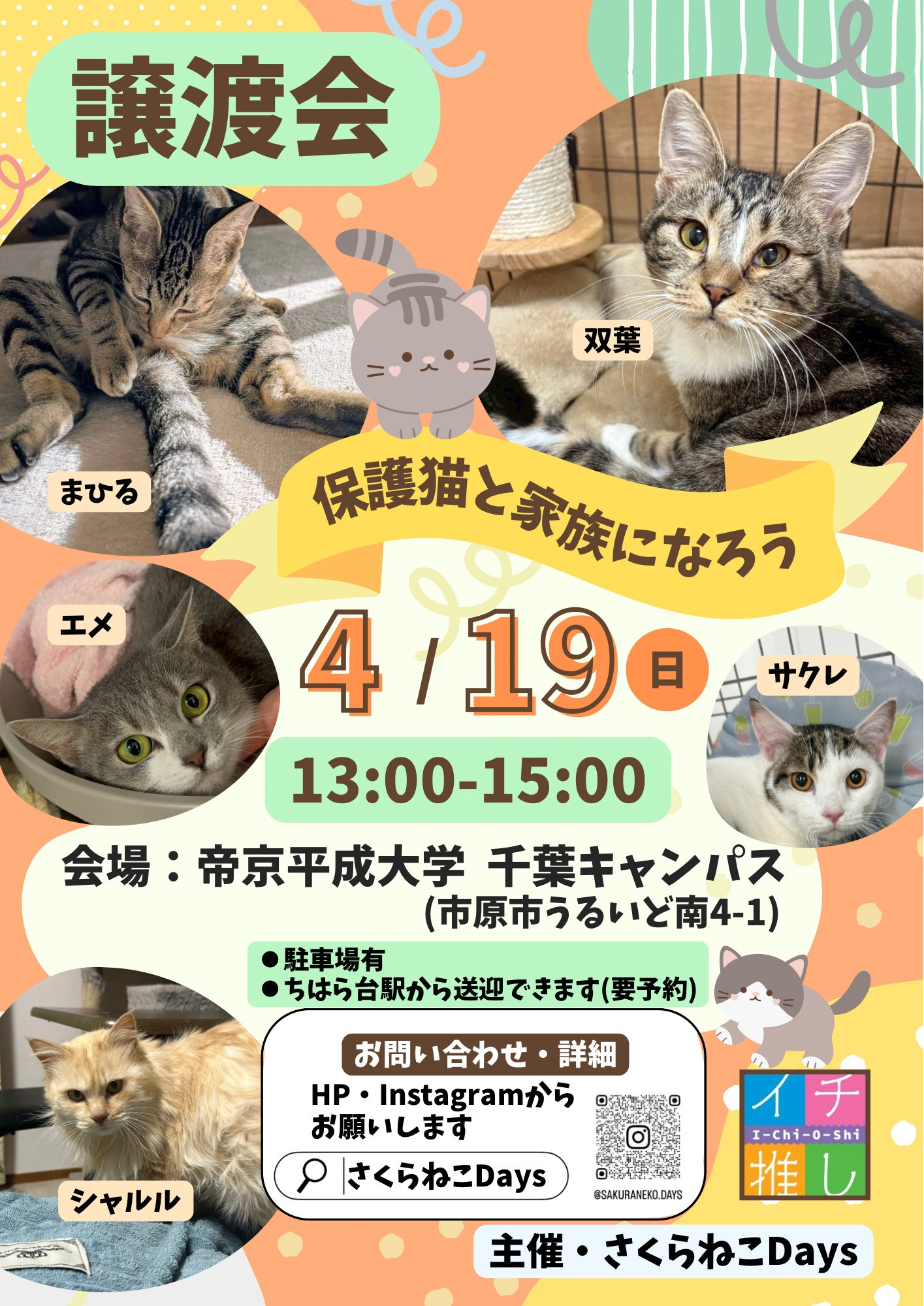 4月の保護猫譲渡会 開催のお知らせ