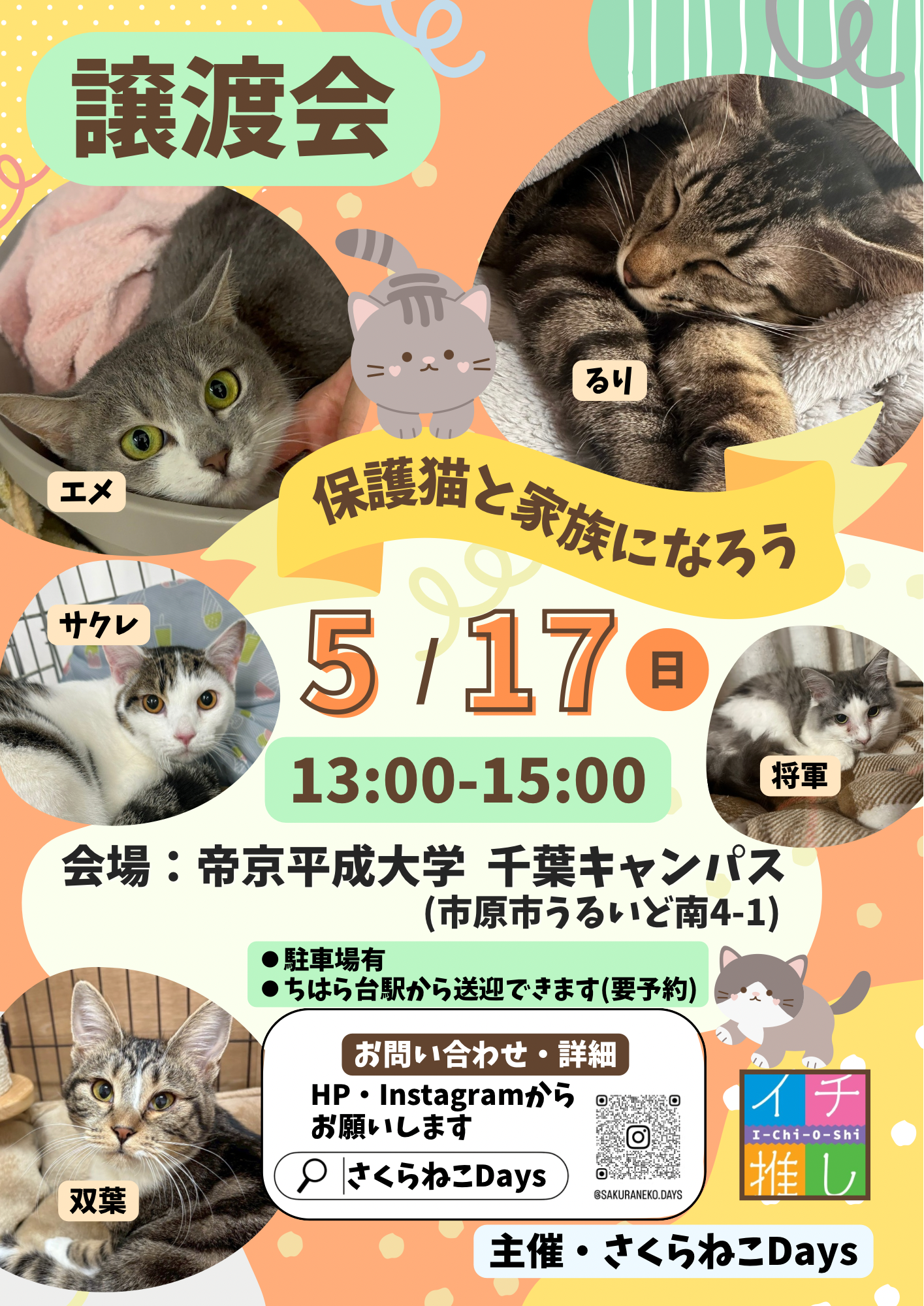 5月の保護猫譲渡会　開催のお知らせ