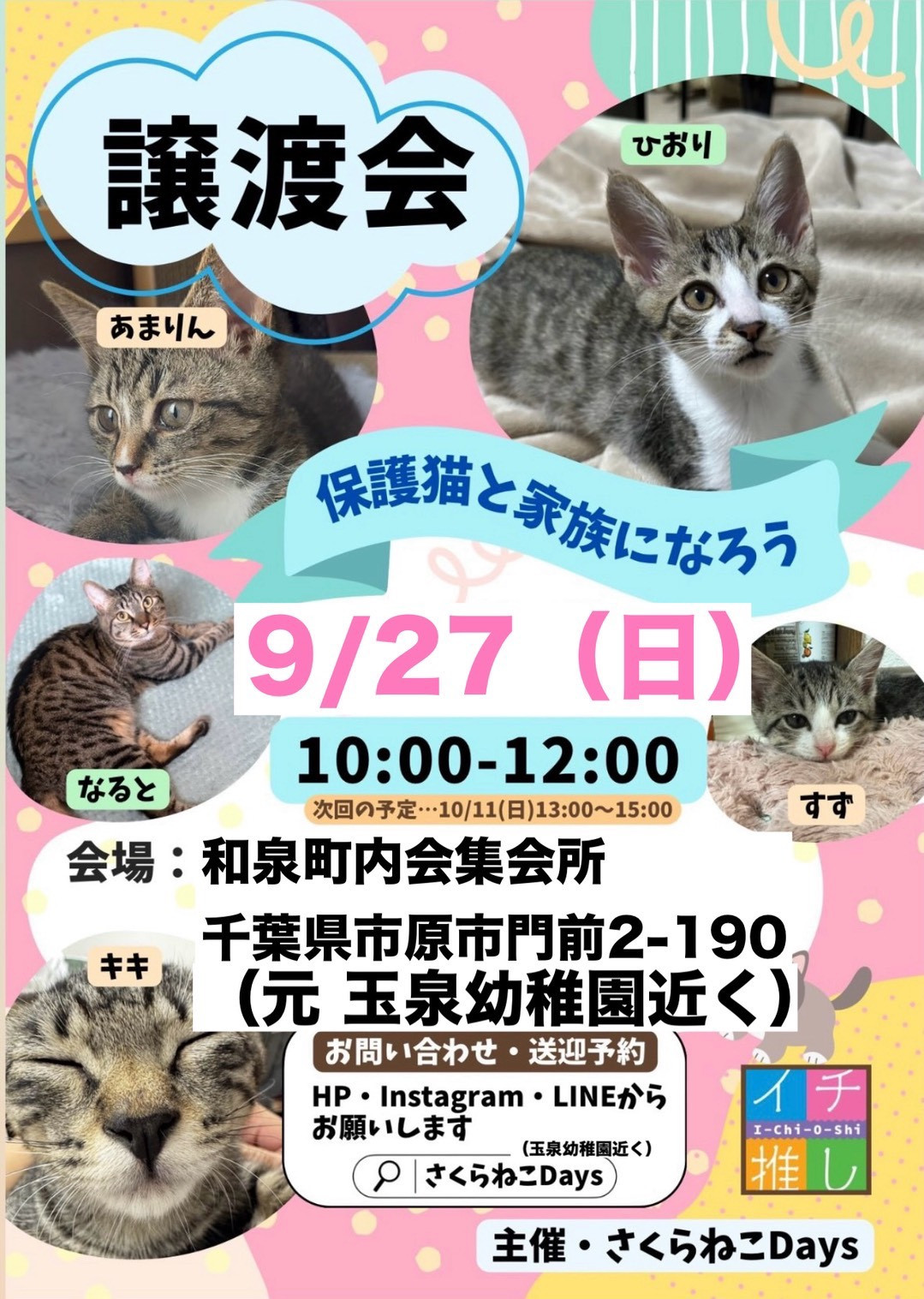 9月の保護猫譲渡会　開催日時変更のお知らせ