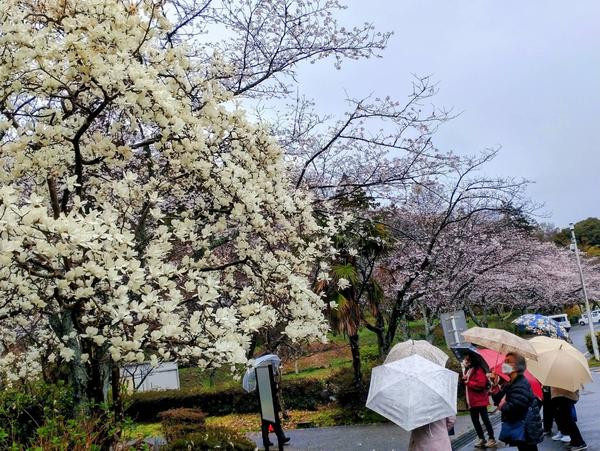 3月26日(木)バス研修実施